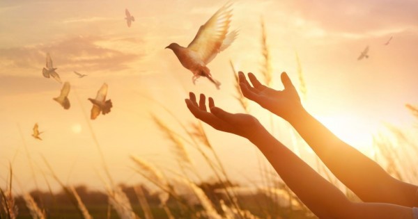 Thumbnail for Come Holy Spirit!